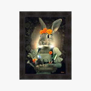 Binet Miss Rabbit 1