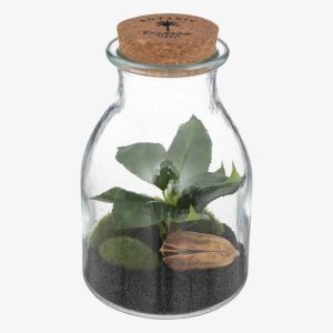 Botanic Terrarium H295 8
