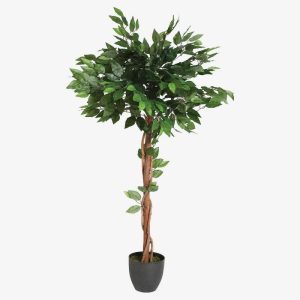 Ficus Plante Artificielle 2 1
