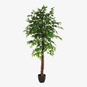 Vue de face de la plante artificielle FICUS