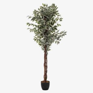Ficus Plante Artificielle H180
