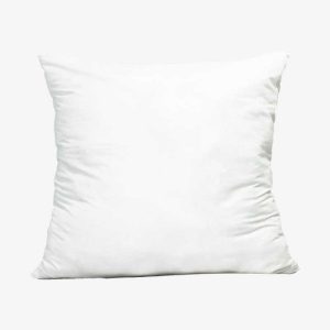 Interieur Coussin 80x80 1