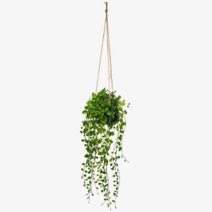 Living Suspension