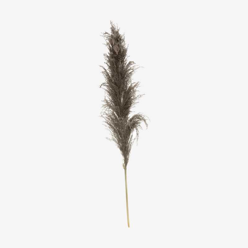 Vue de face de la fleur artificielle PAMPA