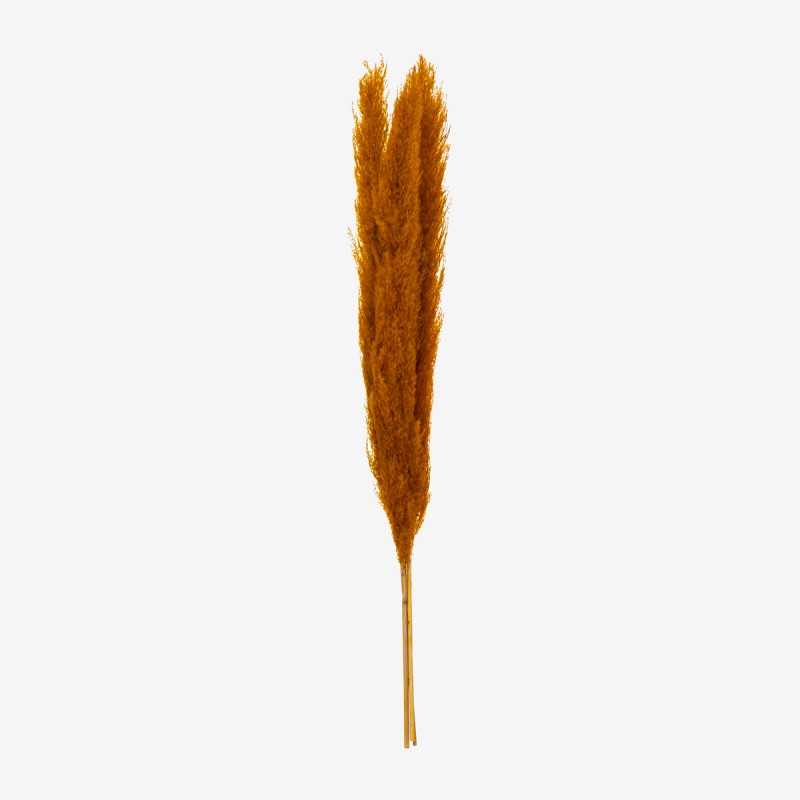 Vue de face de la fleur artificielle PAMPA