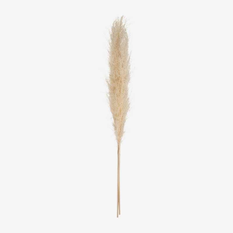 Vue de face de la fleur artificielle PAMPA