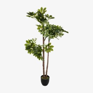 Schefflera Plante Artificielle H135 10