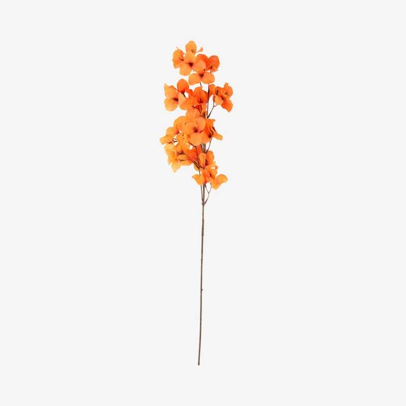 Vue de face de la fleur STEM