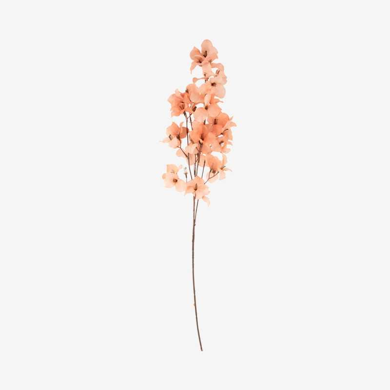 Vue de face de la fleur STEM