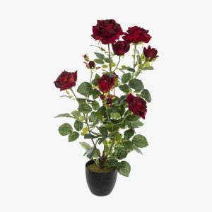 Velours Rosier Artificiel 16