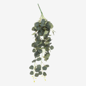 193788_1_tomba Tige Eucalyptus