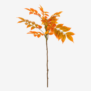 204239_1_automne Tige