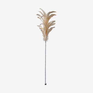 97480_1_plume Bouquet