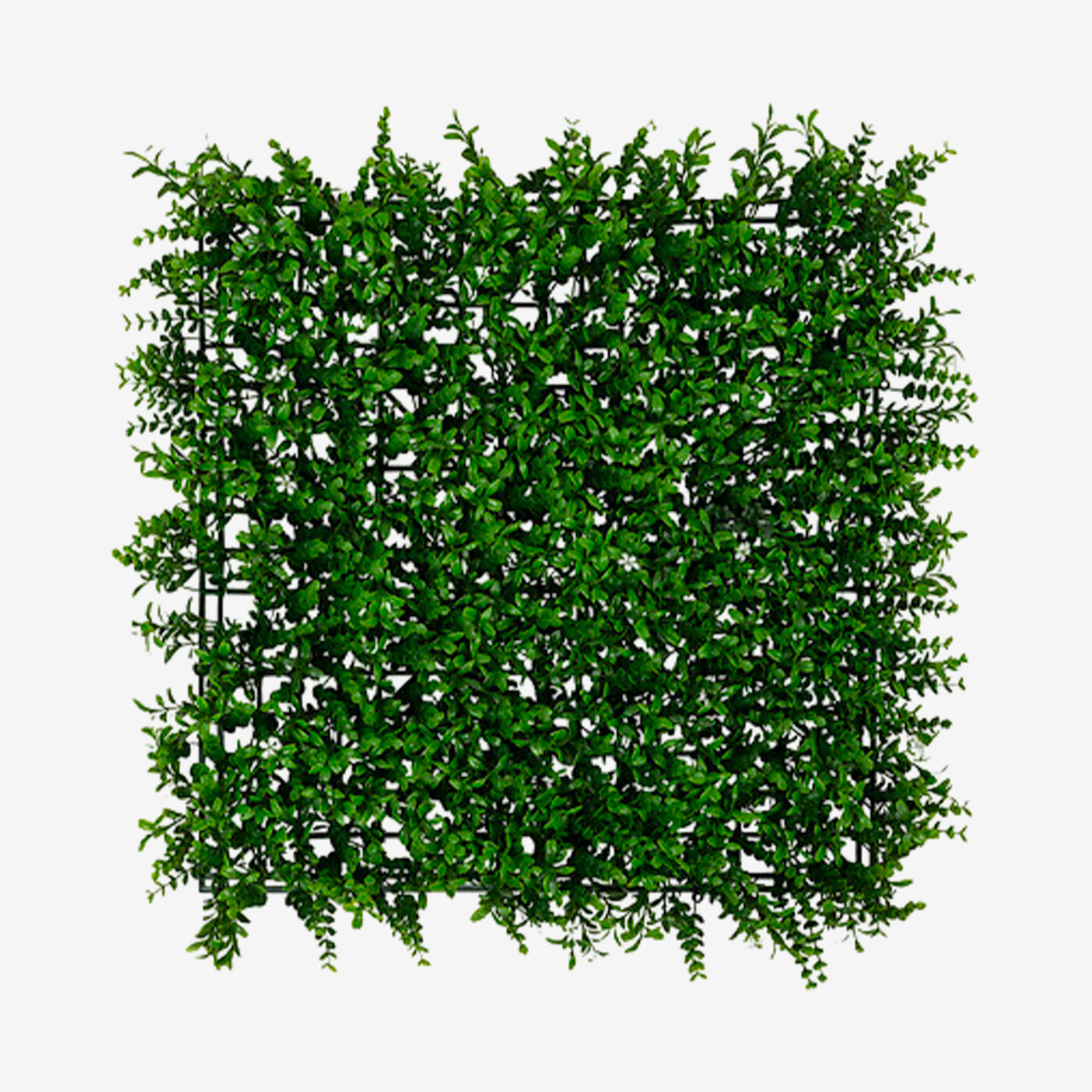 IZY Carre végétation vert / fleur blanche