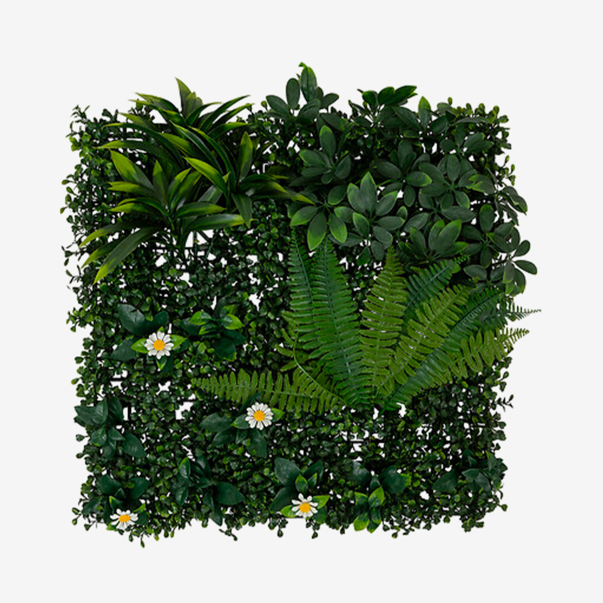 IZY Carre végétation jungle