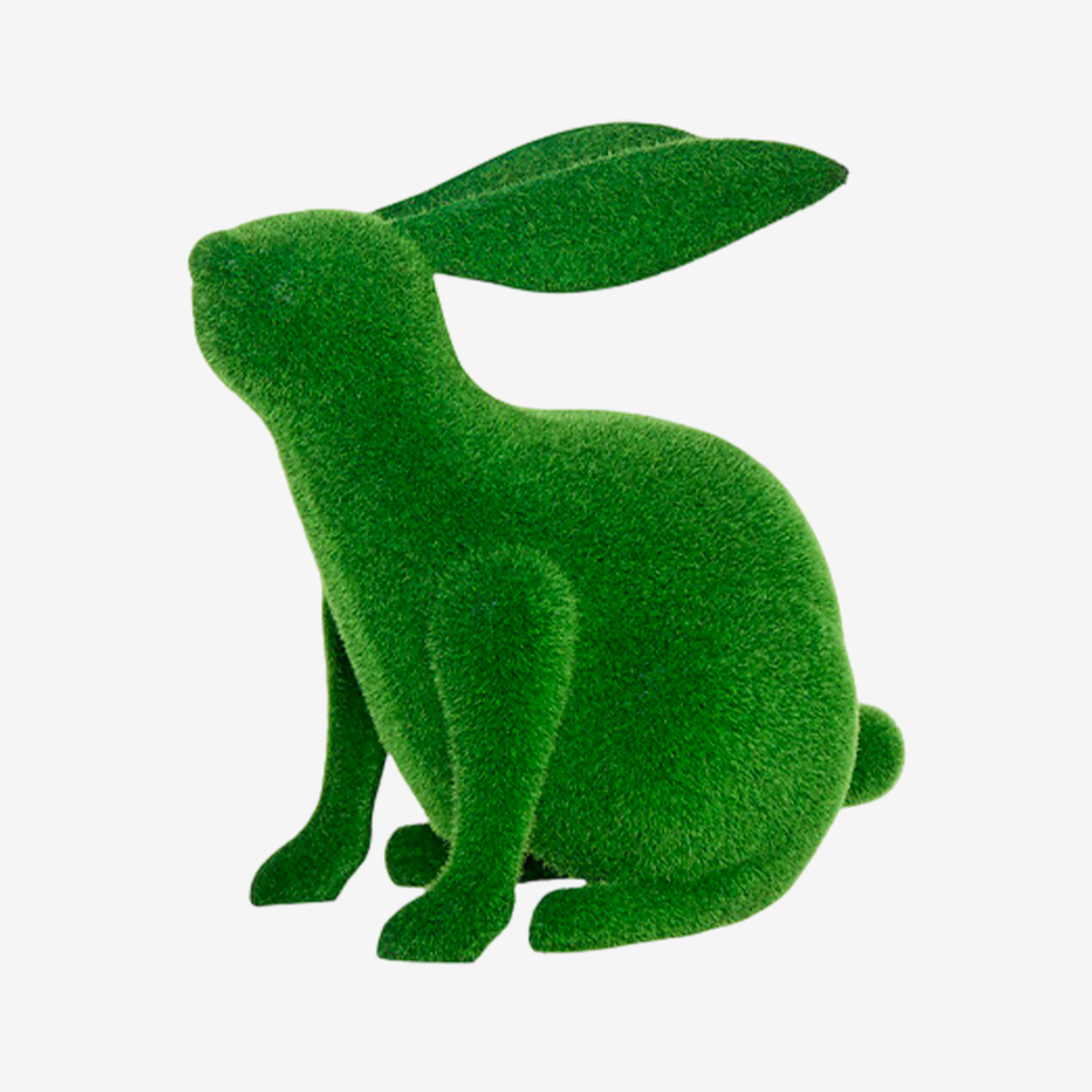 GRASS Lapin