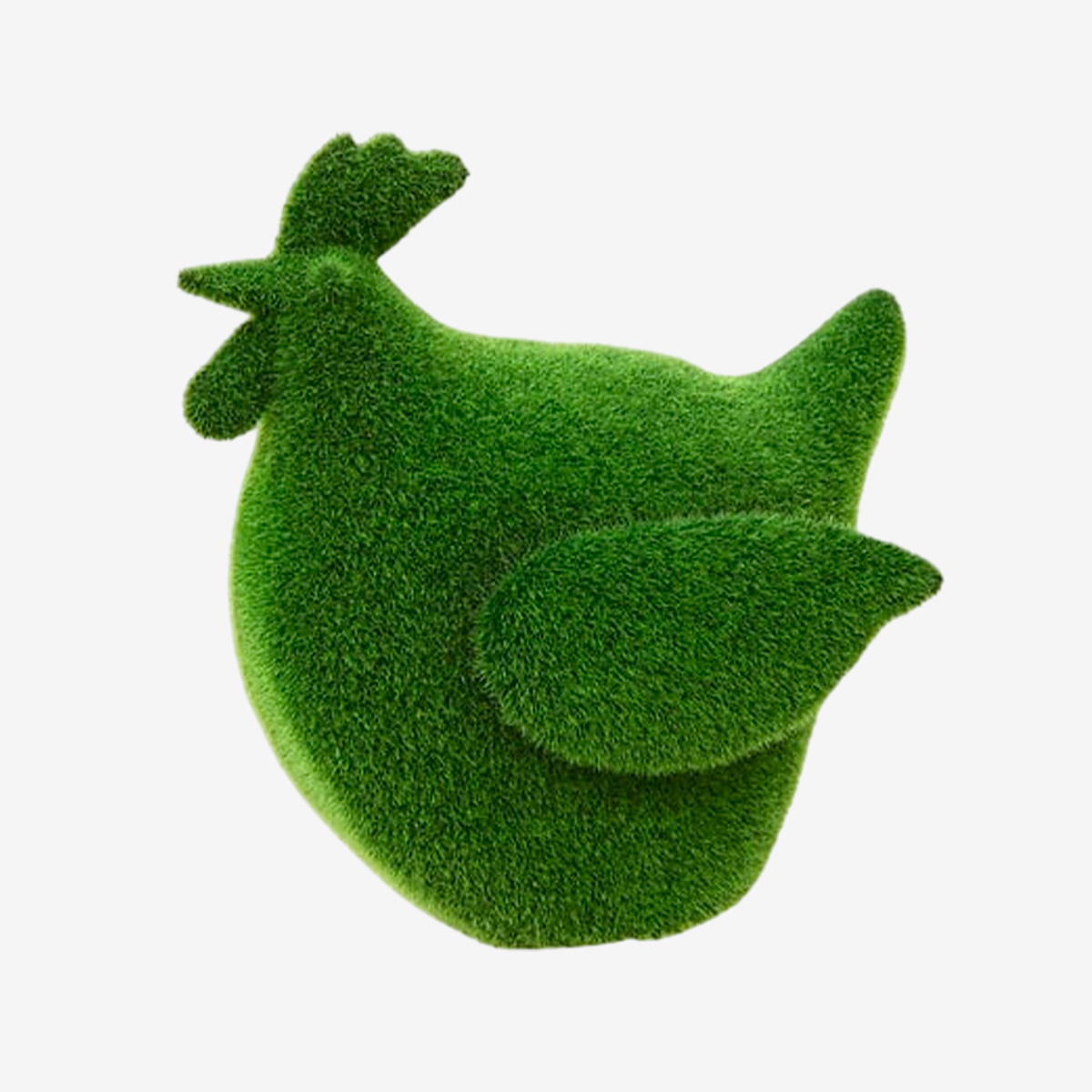 GRASS Poule